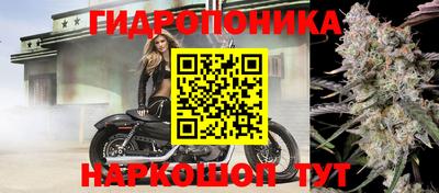 кокс Пугачёв