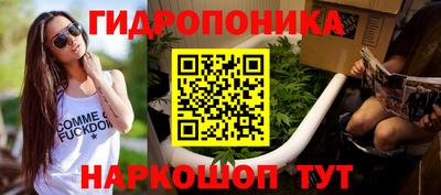 кокс Пугачёв